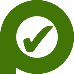 SEO Auditor
